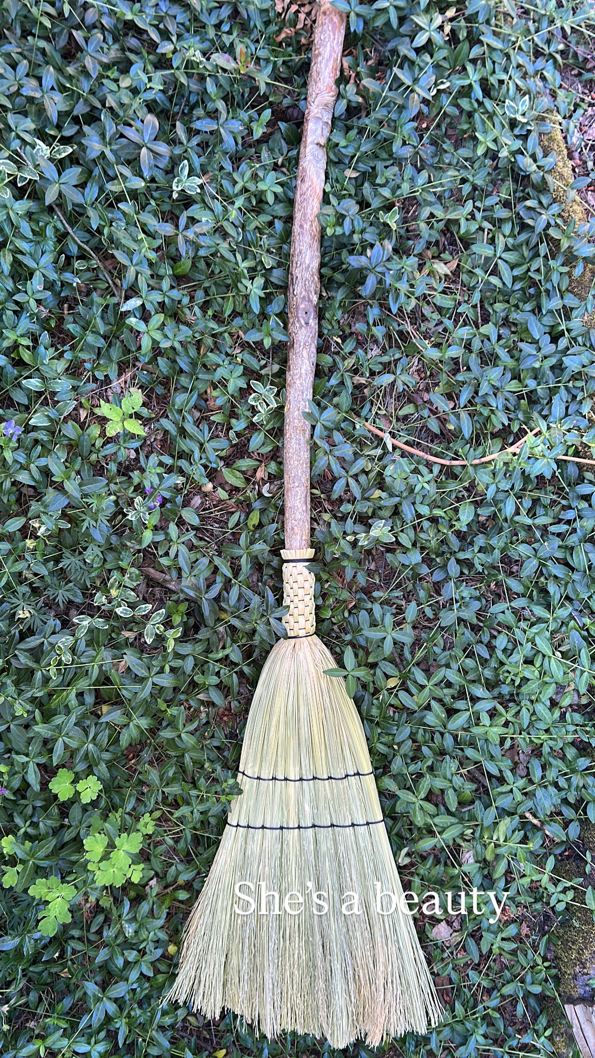 Kitchen Broom